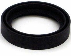 Budget 💯 TOTO Connelly™ 2 in. Gasket 💯