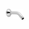 Buy 💯 TOTO Transitional Series A Shower Arm in Polished Chrome ⌛