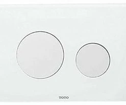 Best reviews of 🤩 TOTO Round Push Plate with Dual Button in White 💯